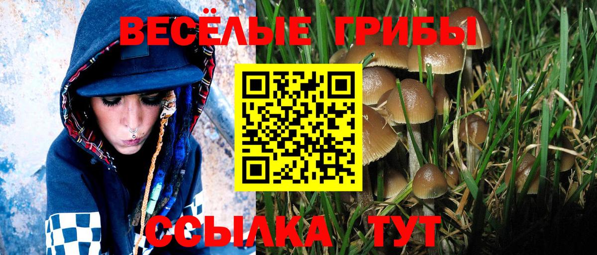 Псилоцибиновые грибы MAGIC MUSHROOMS Карпинск